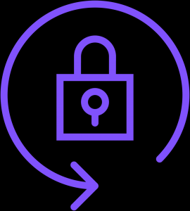 Icon Security 3