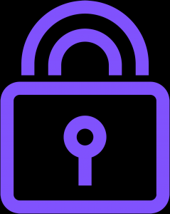 Icon Security 4